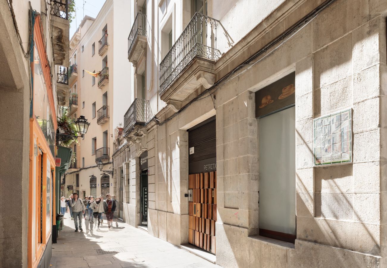 Apartamento en Barcelona - OLA LIVING PETRITXOL BARRI GÒTIC