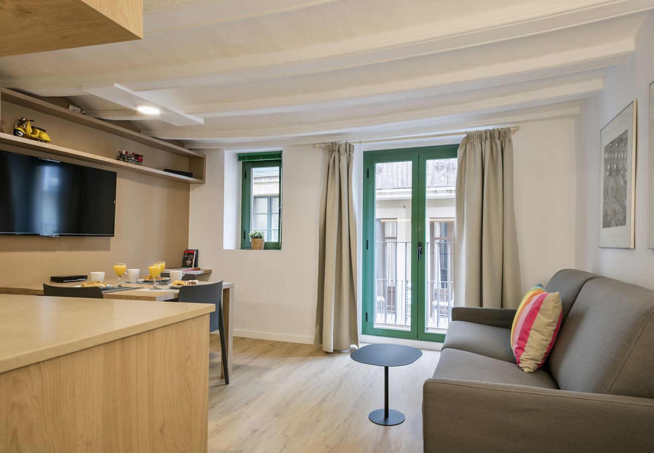 Apartment in Barcelona - OLA LIVING VIDRERIA 4