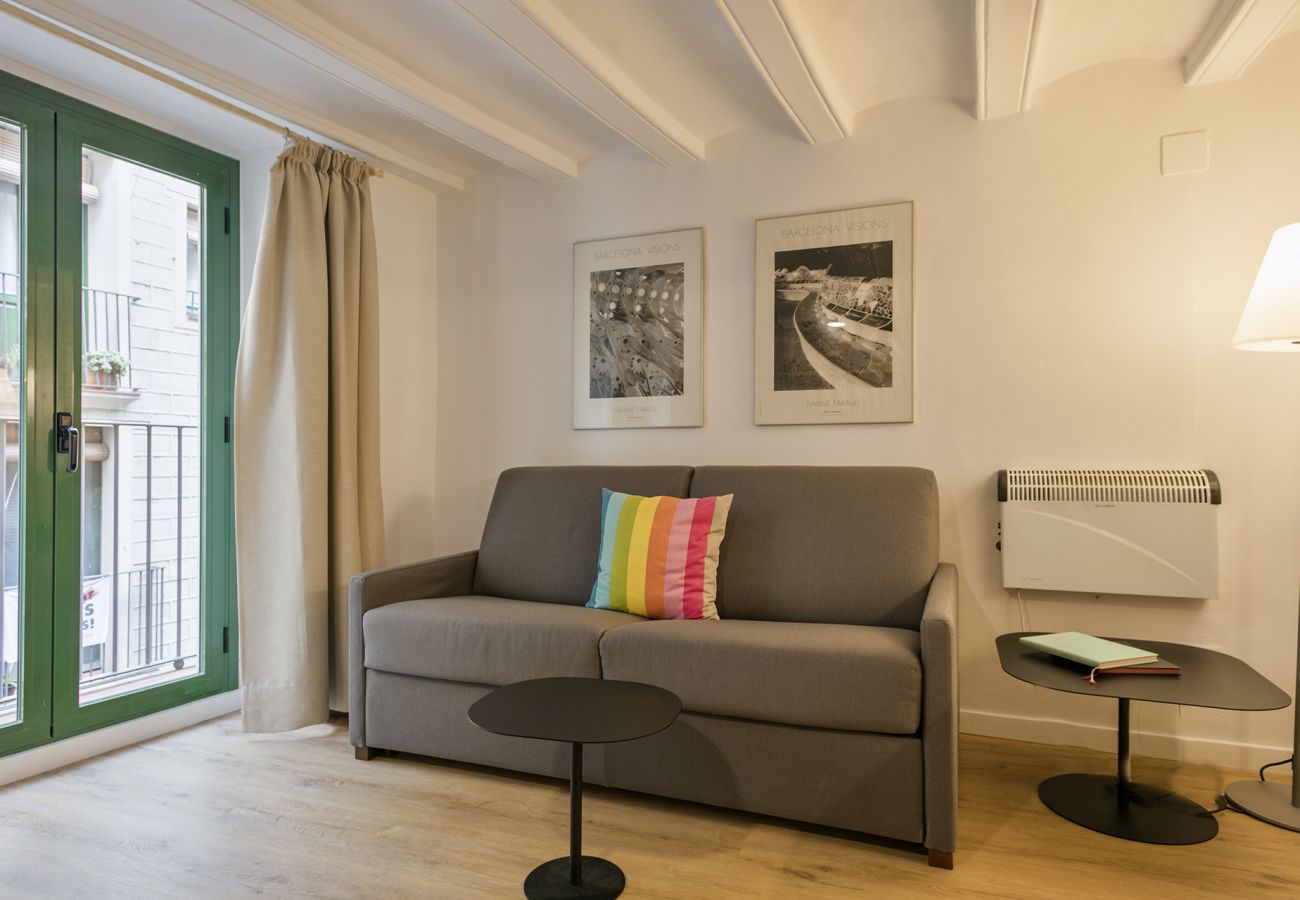 Apartment in Barcelona - OLA LIVING VIDRERIA 4