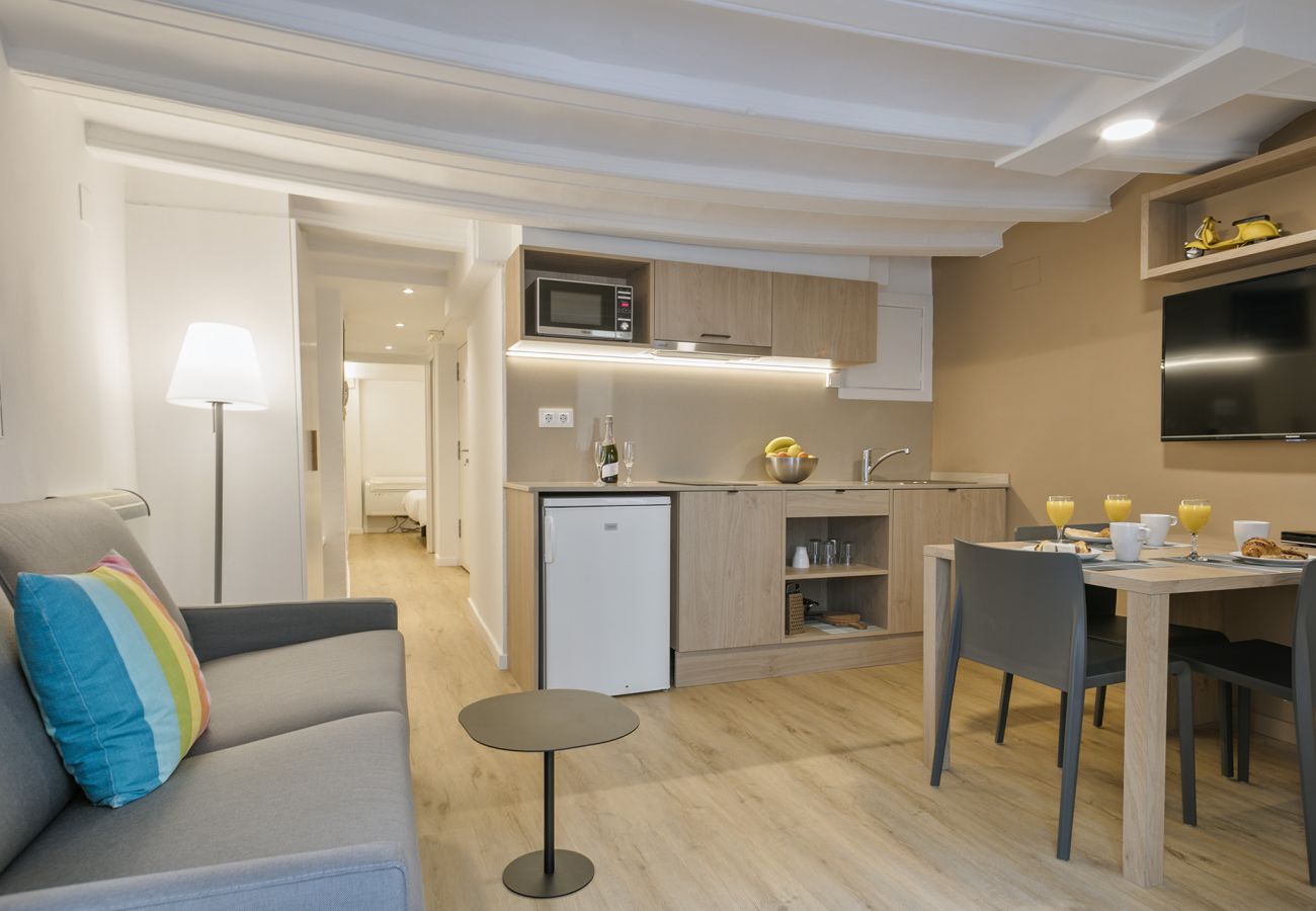 Apartment in Barcelona - OLA LIVING VIDRERIA 4