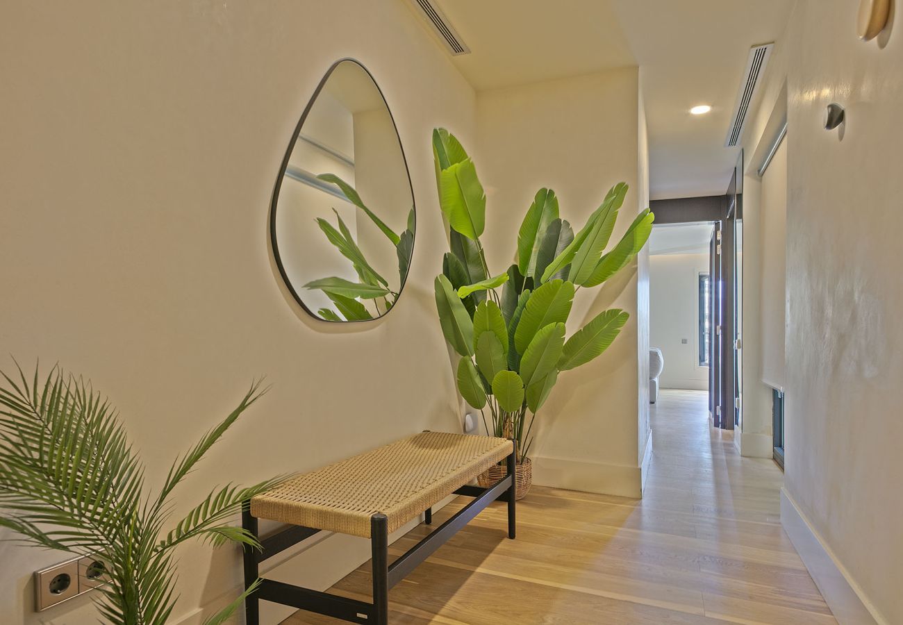 Apartment in Barcelona - OLA LIVING PASEO DE GRACIA 1