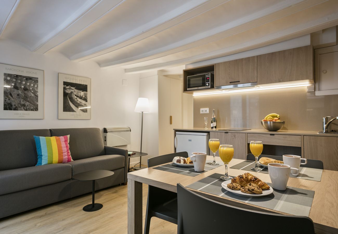 Apartamento em Barcelona - W MT VIDRERIA 0